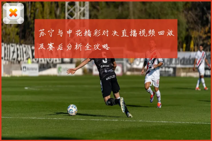 苏宁与申花精彩对决直播视频回放及赛后分析全攻略