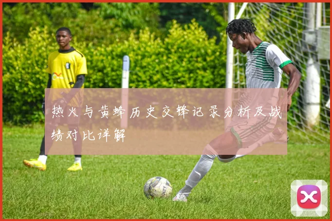 热火与黄蜂历史交锋记录分析及战绩对比详解