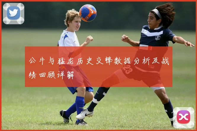 公牛与猛龙历史交锋数据分析及战绩回顾详解