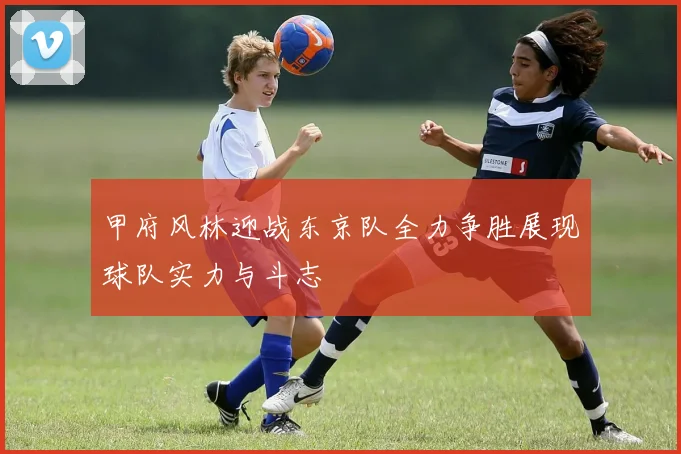 甲府风林迎战东京队全力争胜展现球队实力与斗志